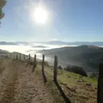 Camino Primitivo