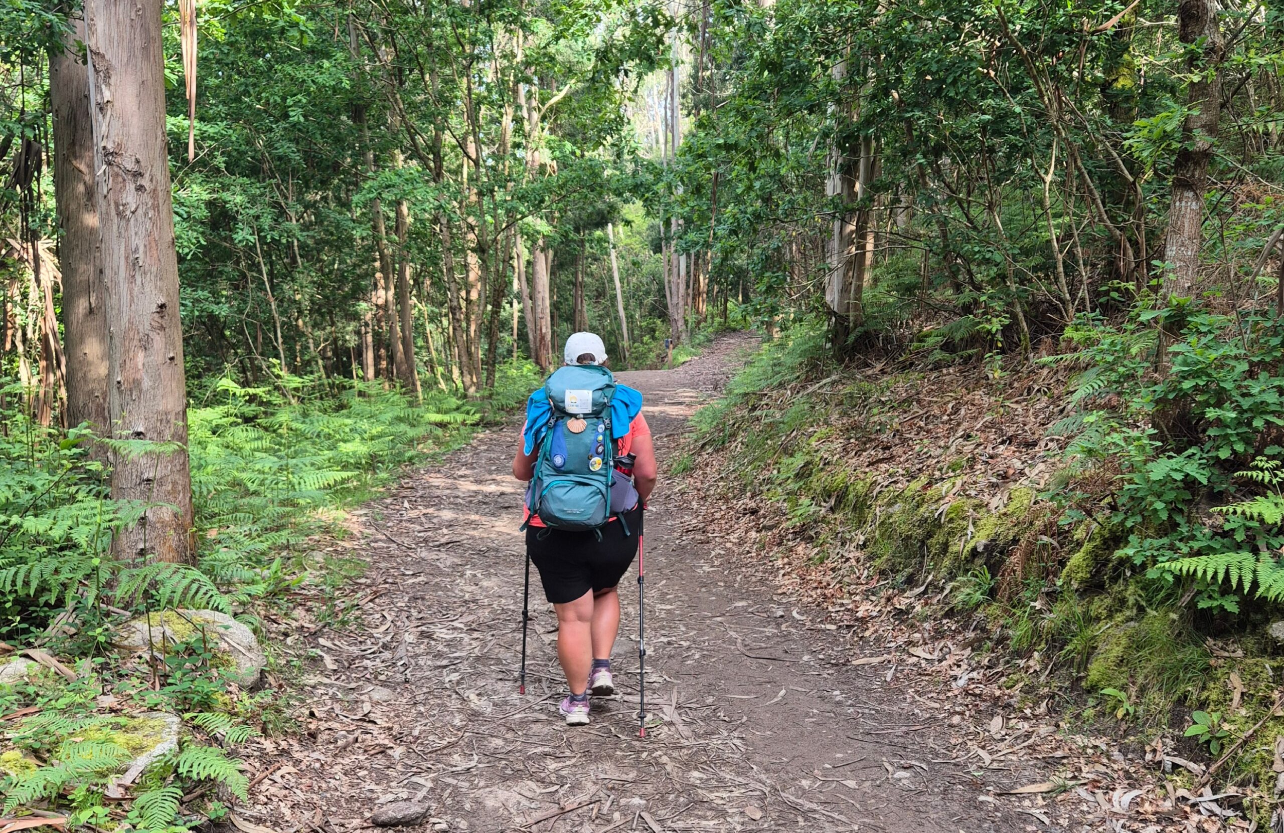 Ela auf dem Camino Portugues